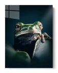 Moody Frog