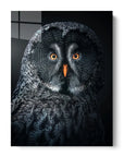 Owl At Night