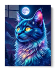 Cat Galaxy