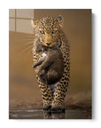 Cub Carrier