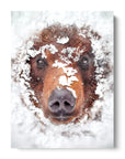 Hiding Bear