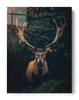 Moody Deer