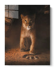 Simba