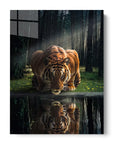 Tiger in The Woods