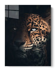 Wild Jaguar