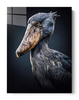 Shoebill Night