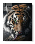 Tiger Green Vision