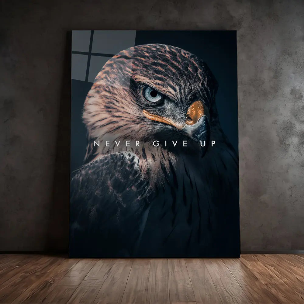 Hawk Never Give Up
