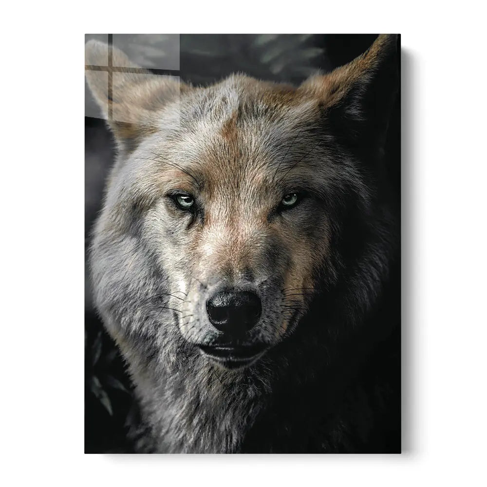 Wolf Portrait