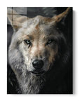 Wolf Portrait