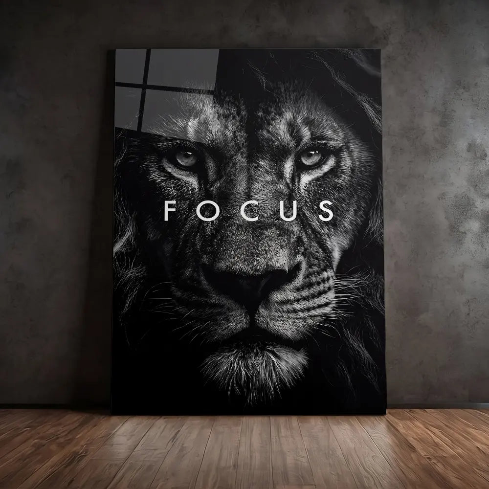 Lion Focus