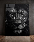 Lion Focus