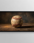 Wellworn Baseball