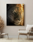 Golden Hour Lion