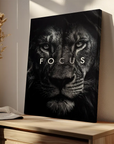 Lion Focus