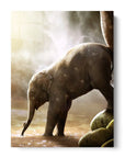 Baby Elephant