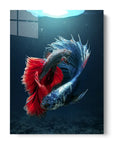 Betta Jellyfish