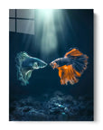 Betta Meeting