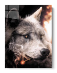 Big Bad Wolf