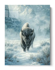 Bison In The Snow