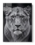 Black And White Lioness