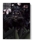 Black Panther Roses