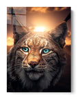 Bobcat Sunset