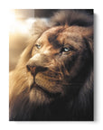 Boss Lion