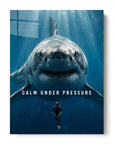 Calm Under Pressure Shark