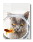 Cat Fish