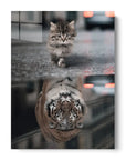 Cat Tiger Mindset
