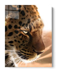 Cheetah Side