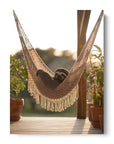 Chilling Sloth
