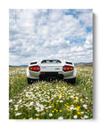Classic Countach Dream