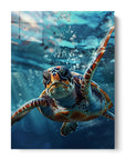 Clear Turtle