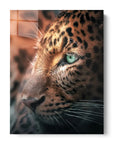 Close Leopard