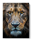 Close Up Lion