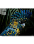 Cockatoo Jungle