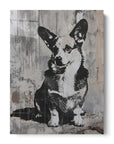 Corgi Wall