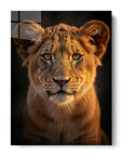 Cute Lion Cub