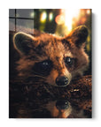 Cute Raccoon