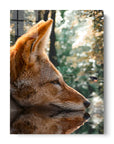 Fox Butterfly Reflection