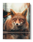 Fox Watching Butterfly
