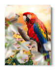Friendly Birds