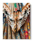 Giraffe Love