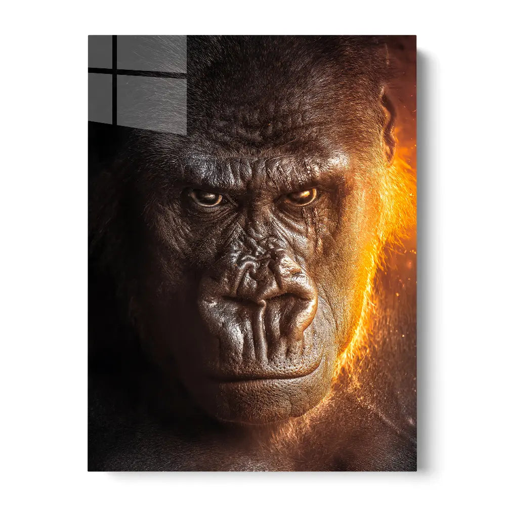 Gorilla Scar