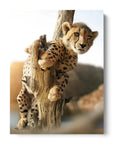 Hanging Cheetah Cub