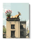 High Goat