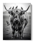 Highland Cow Fox