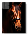 Horse Black Portrait